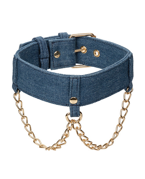 Ride 'em Premium Denim Collection Collar & Leash