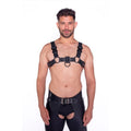 Prowler RED Bull Harness Blk w/Metal M