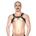 Prowler RED Bull Harness Black S