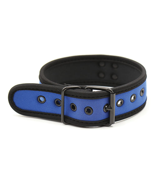 Plesur Neoprene Puppy Play Collar - Blue