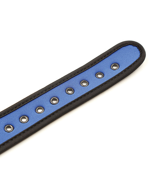 Plesur Neoprene Puppy Play Collar - Blue