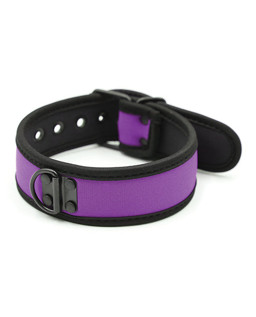 Plesur Neoprene Puppy Play Collar - Purple
