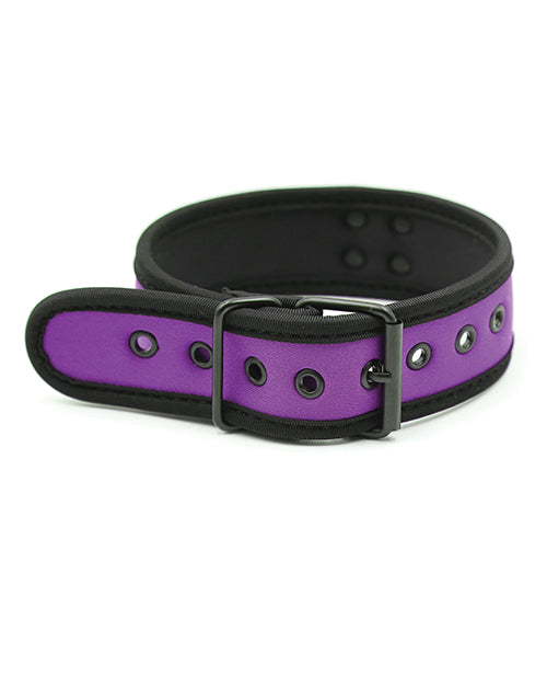 Plesur Neoprene Puppy Play Collar - Purple