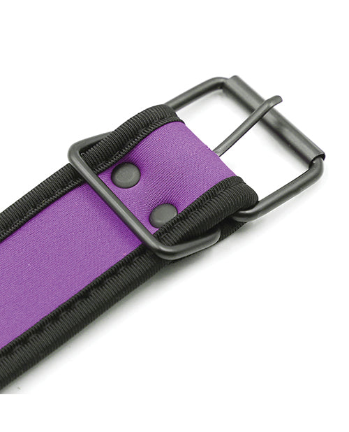 Plesur Neoprene Puppy Play Collar - Purple