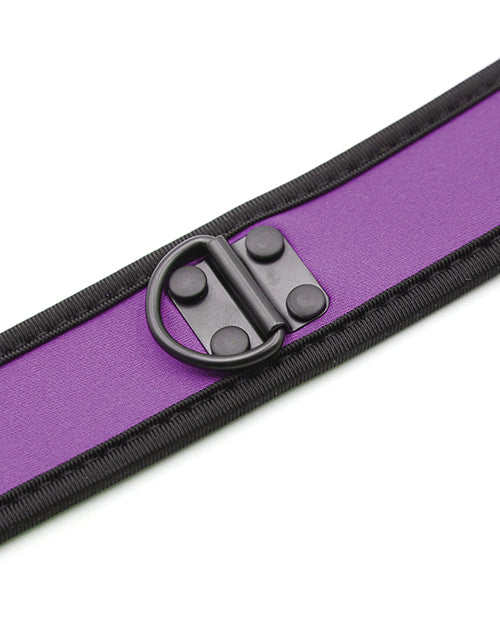 Plesur Neoprene Puppy Play Collar - Purple