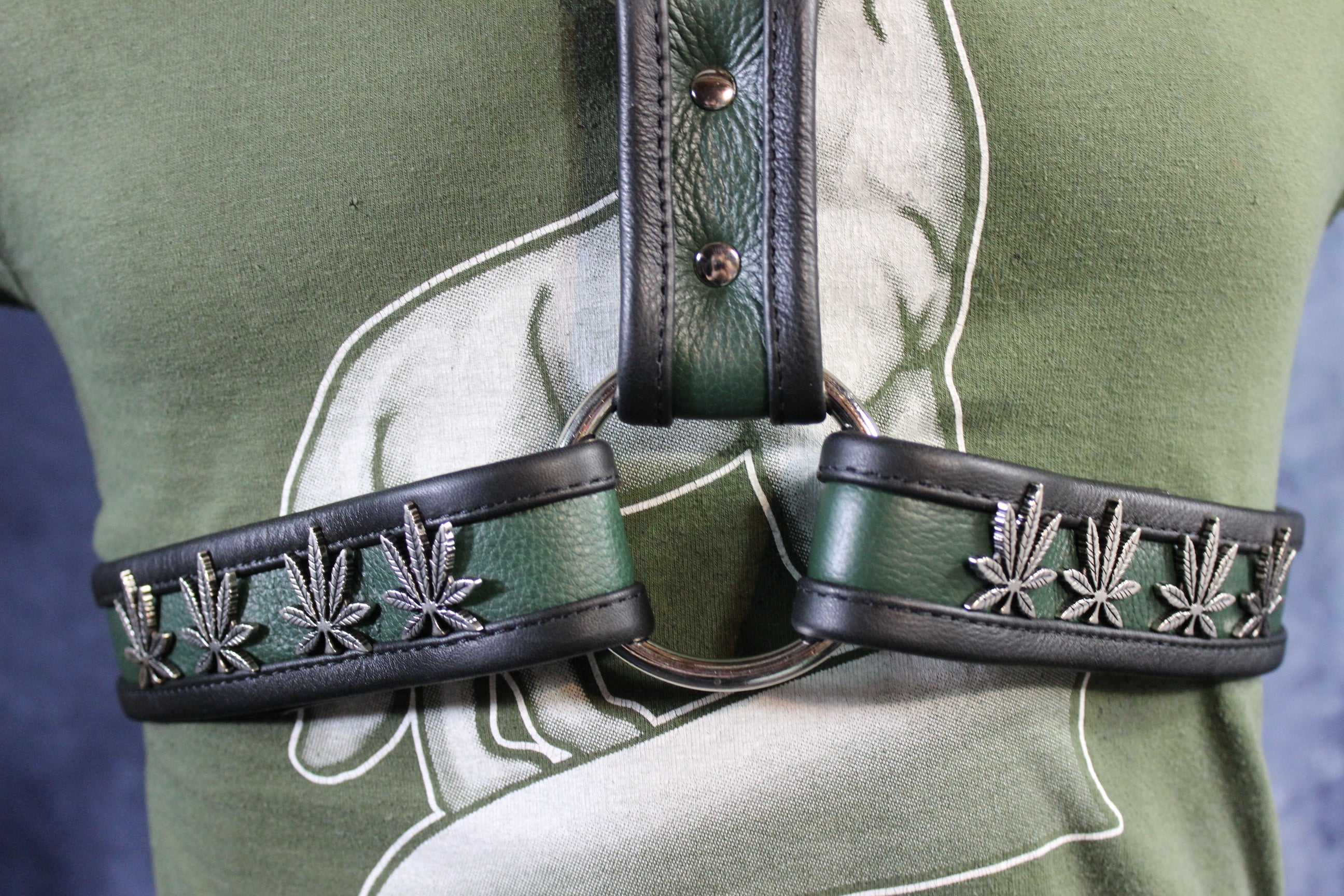 420 Extended X Harness