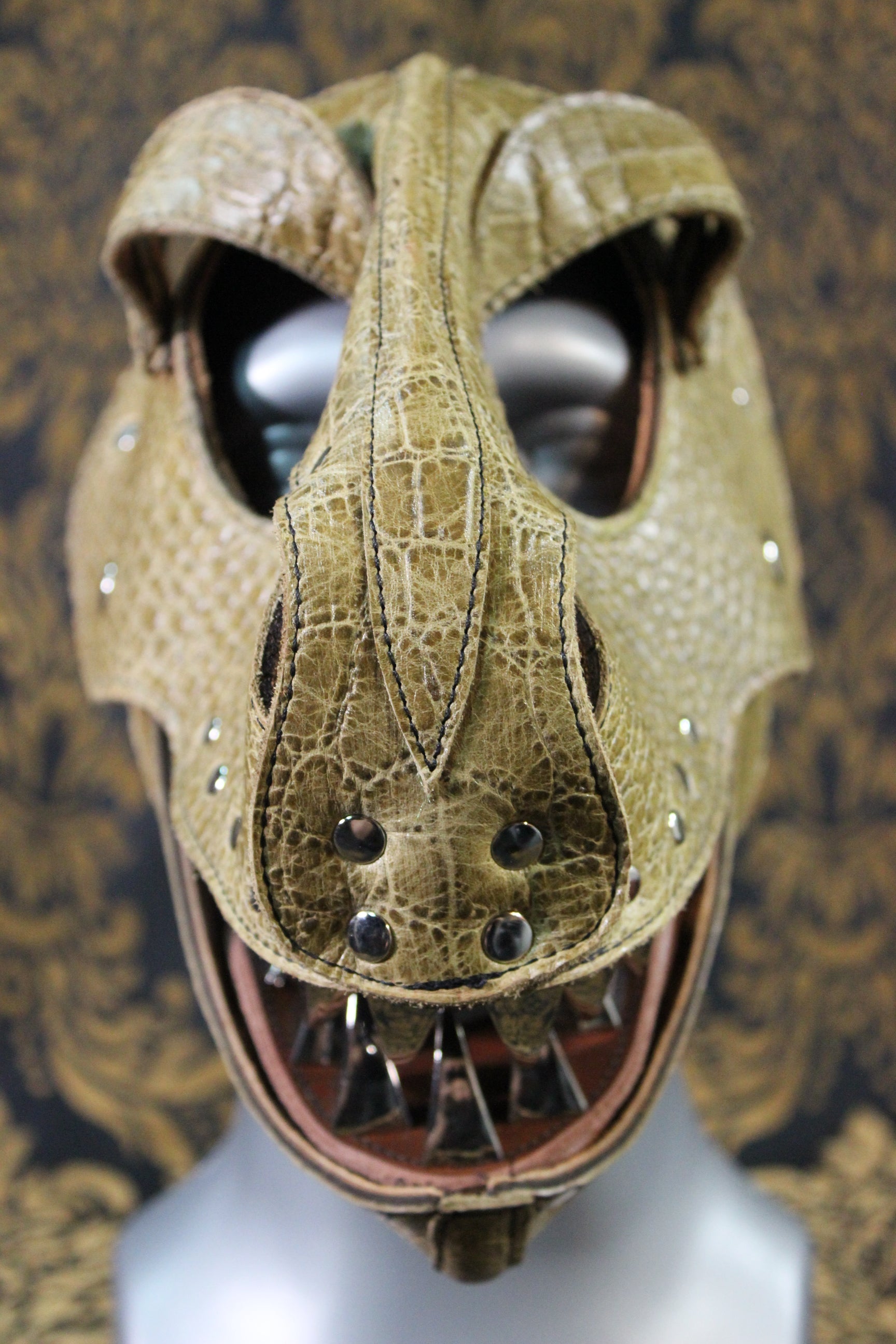 T-Rex Hood