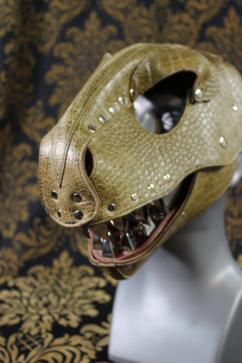 T-Rex Hood