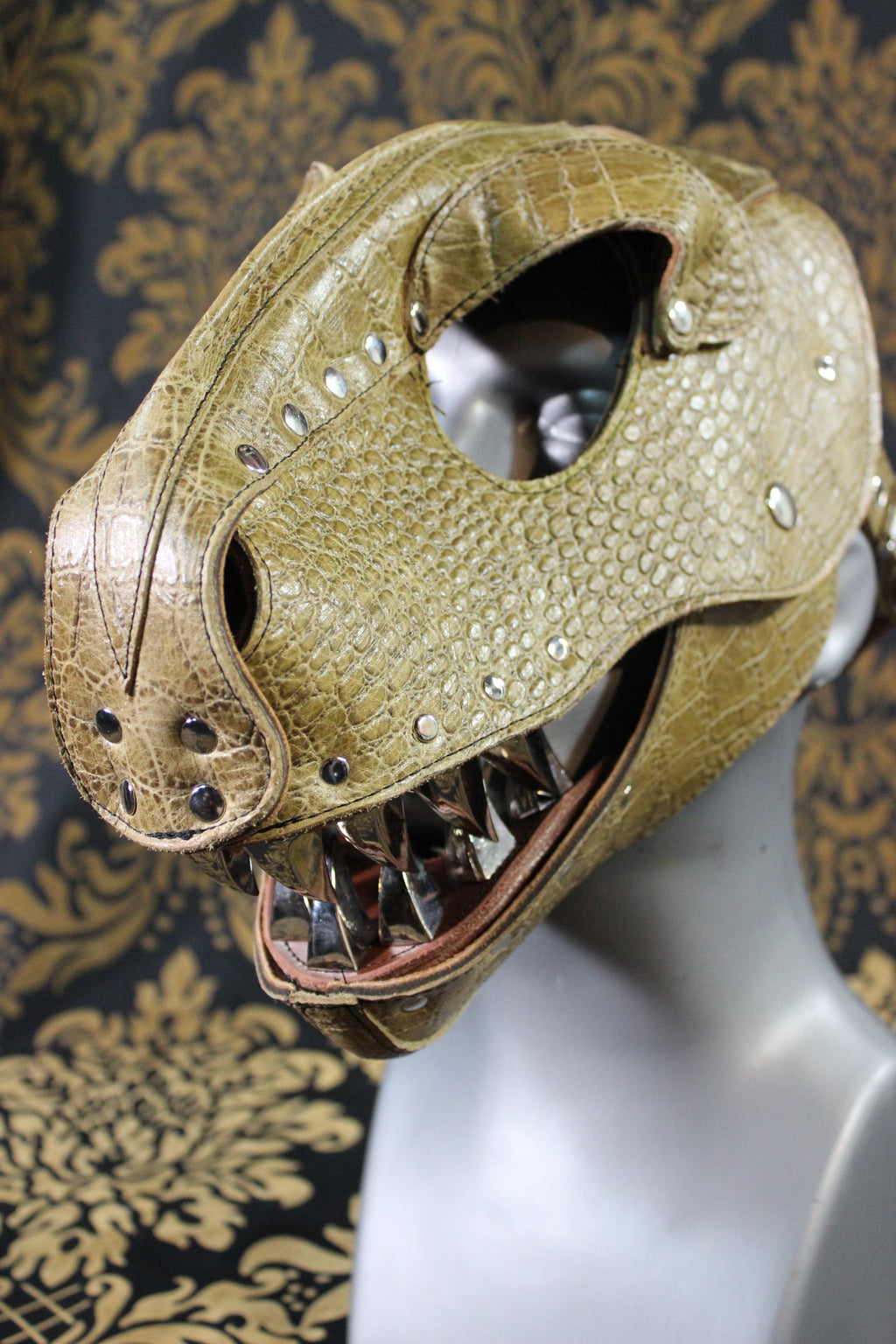 T-Rex Hood