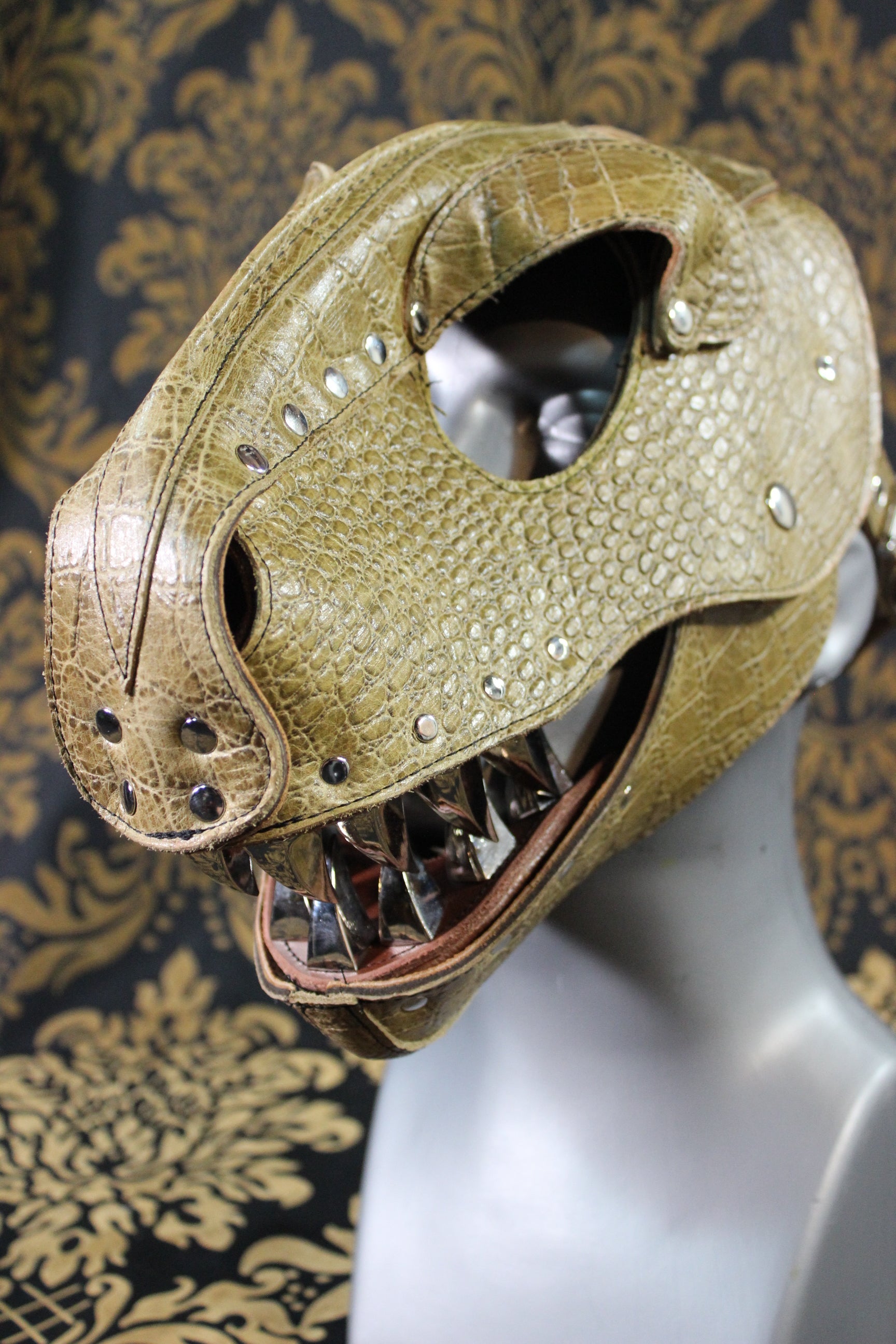 T-Rex Hood