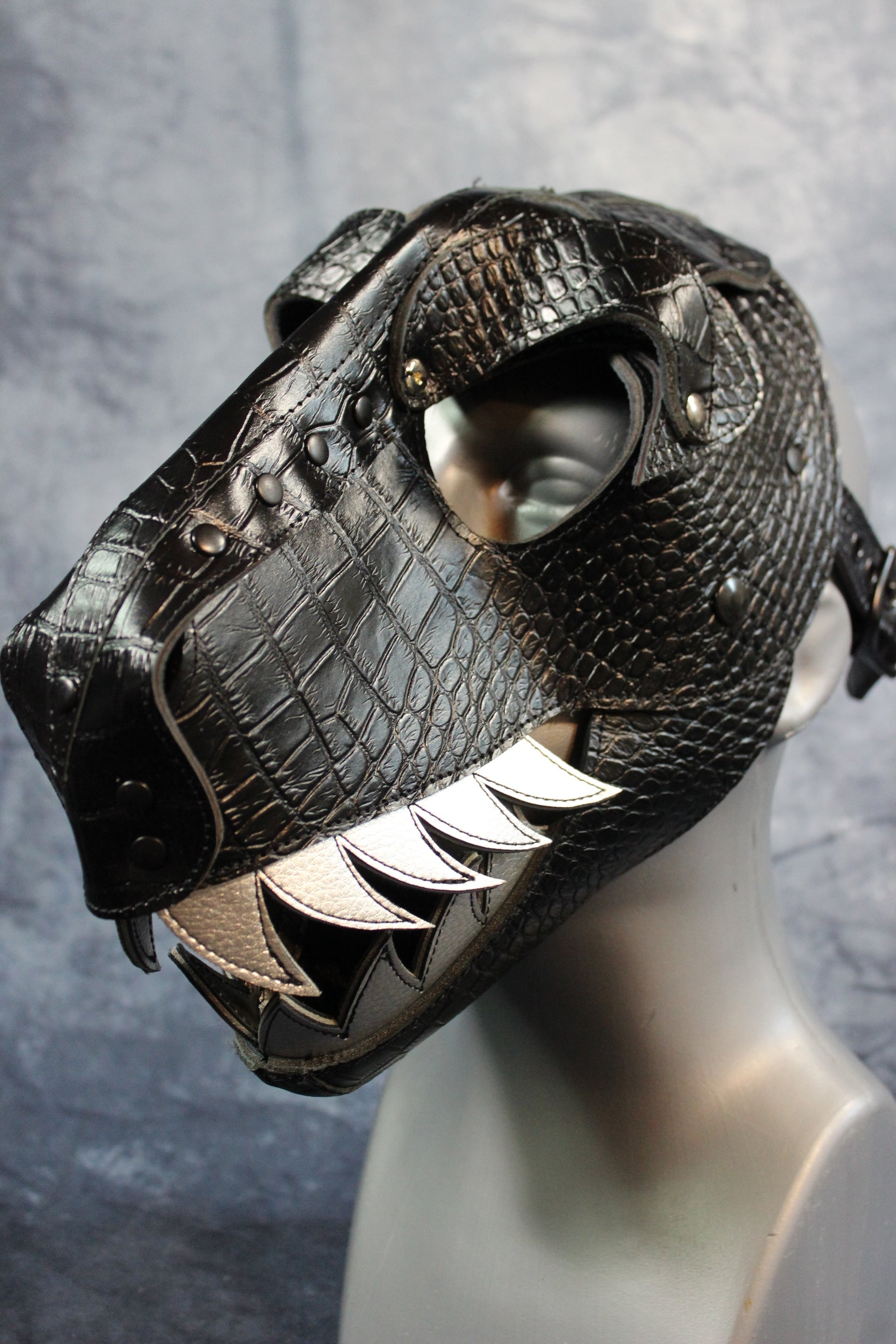 T-Rex Hood