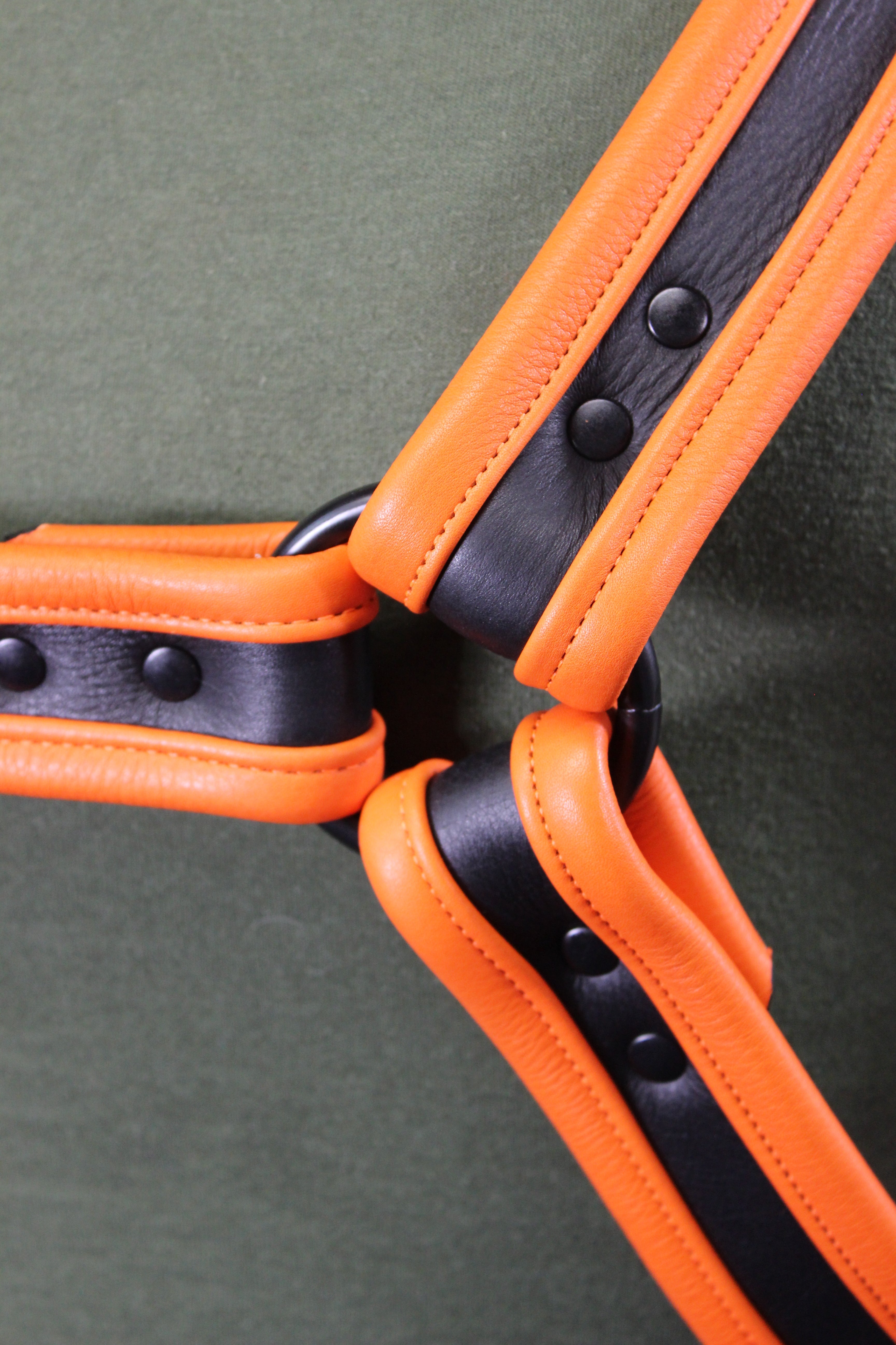 Black and Orange Bulldog Harness and Jock Combo!