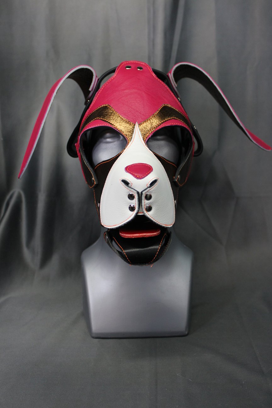 Beagle Style Pup Hood