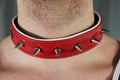 Alpha Pup Gunner's Red Spiked Collar