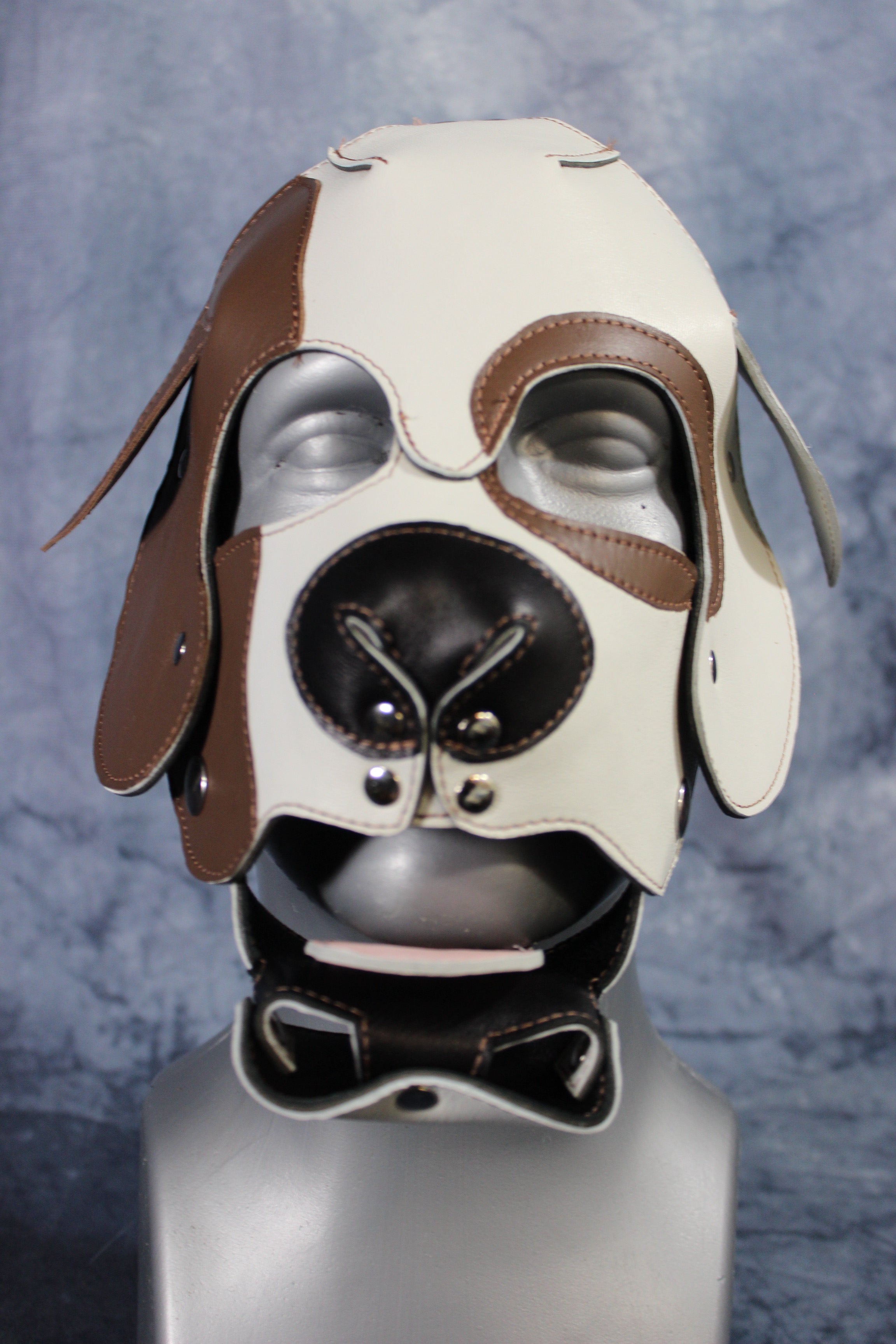 Bulldog Puppy Hood