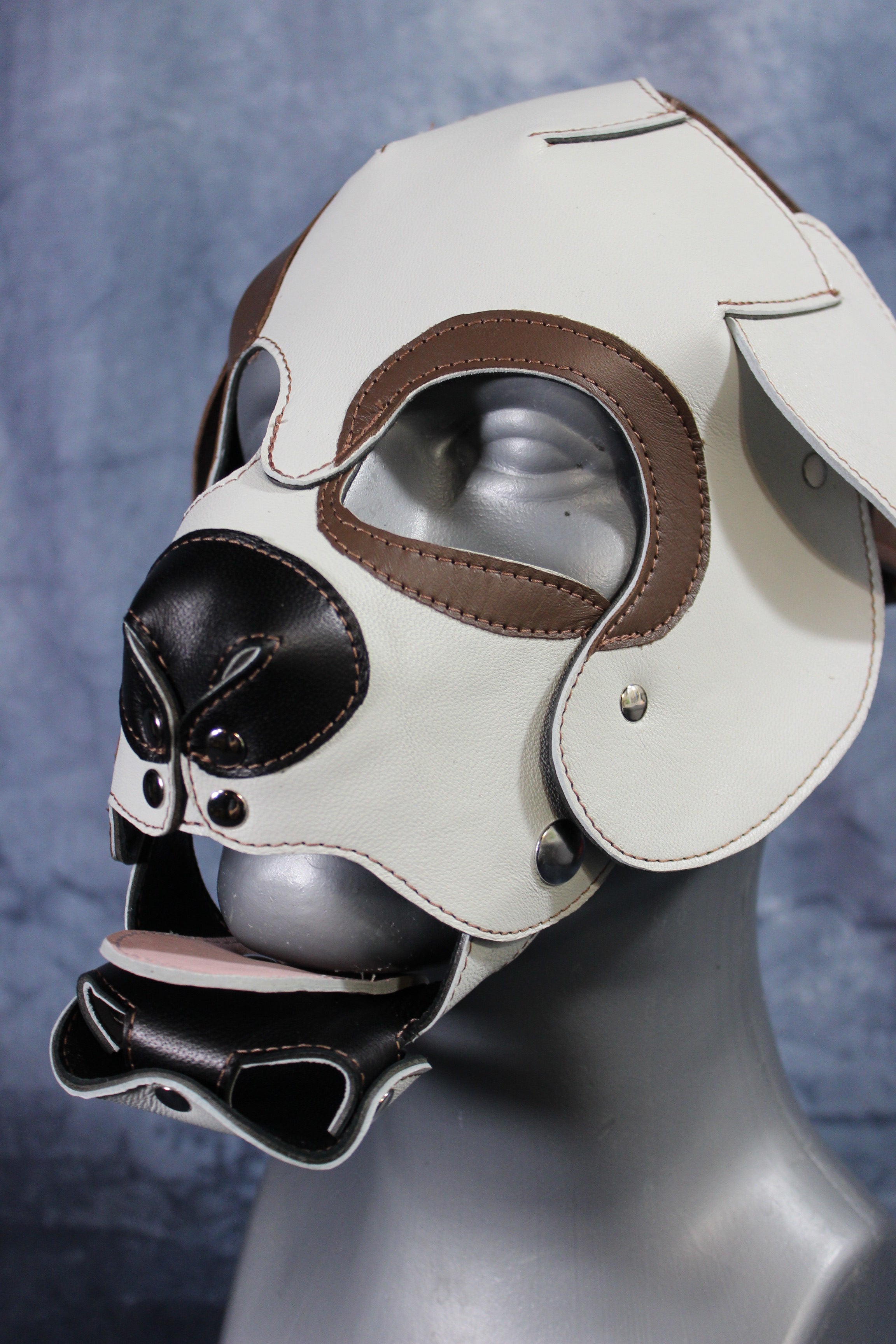 Bulldog Puppy Hood