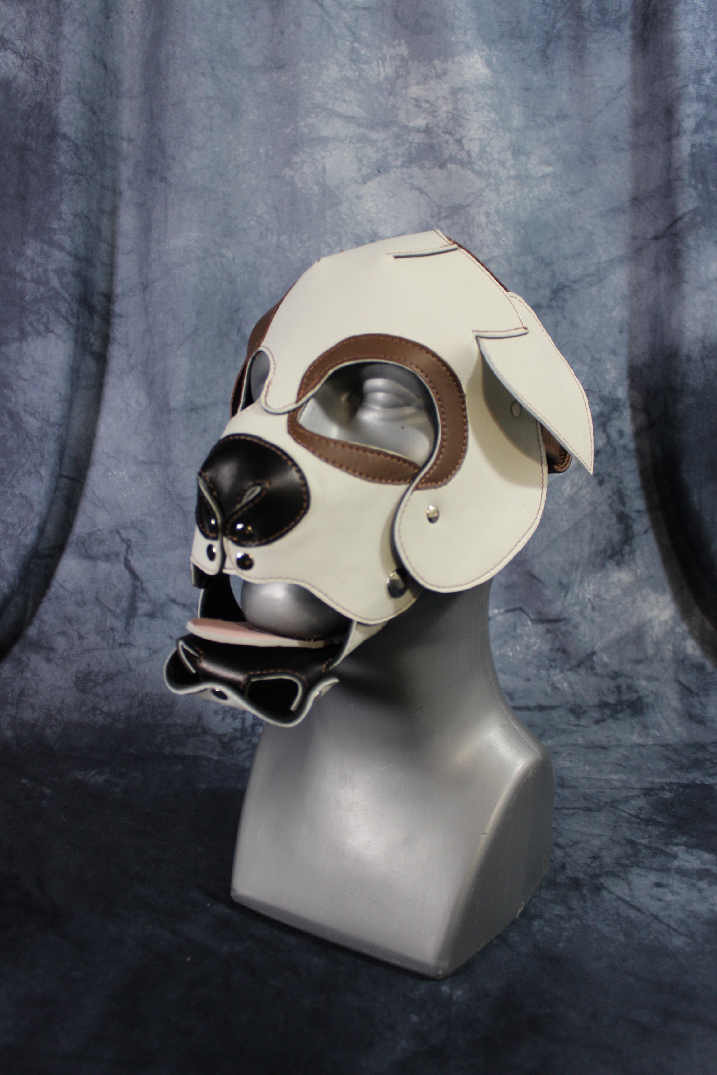 Bulldog Puppy Hood