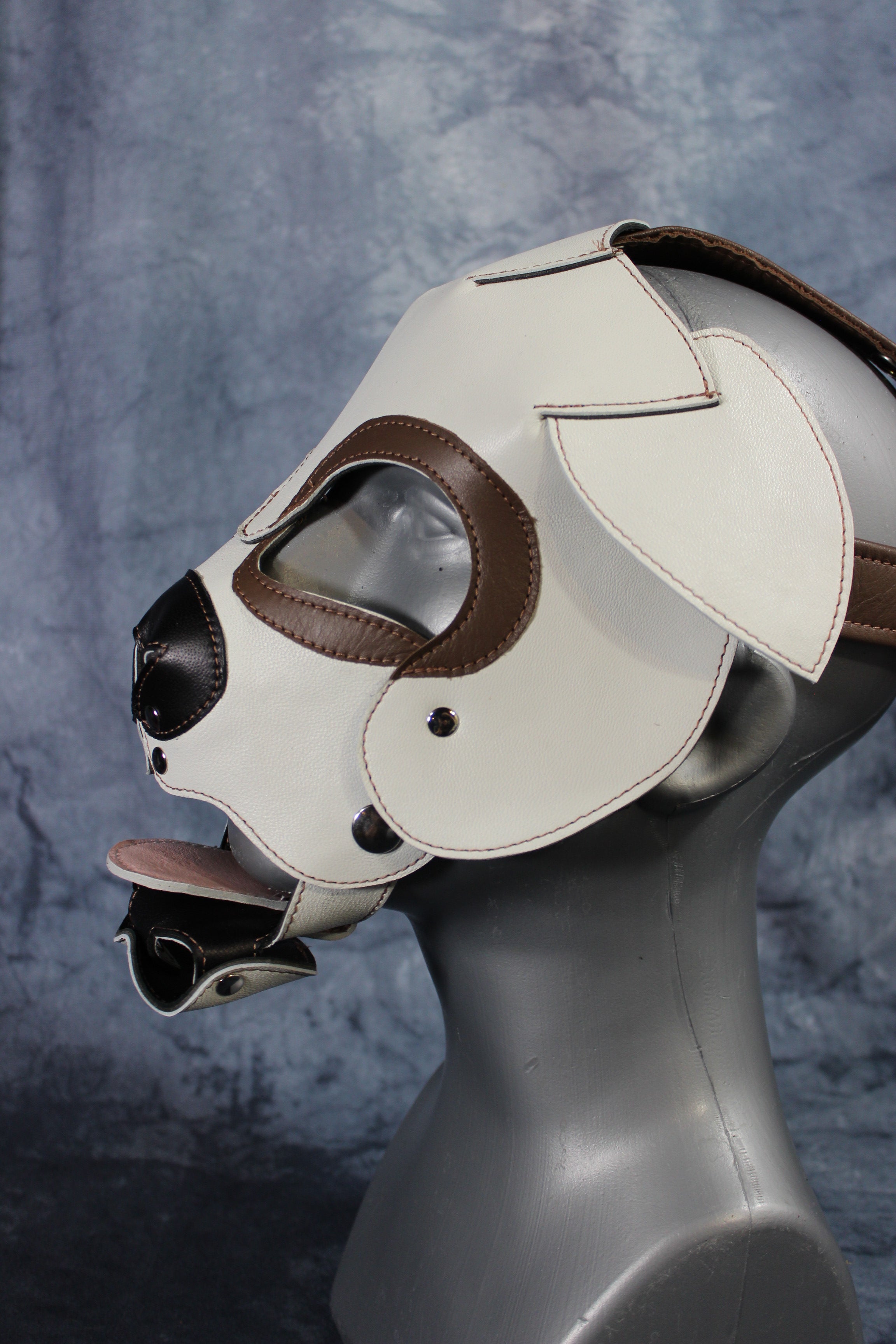 Bulldog Puppy Hood