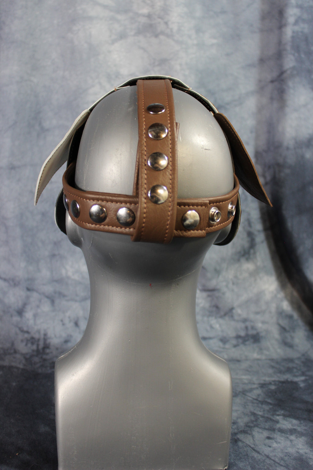 Bulldog Puppy Hood