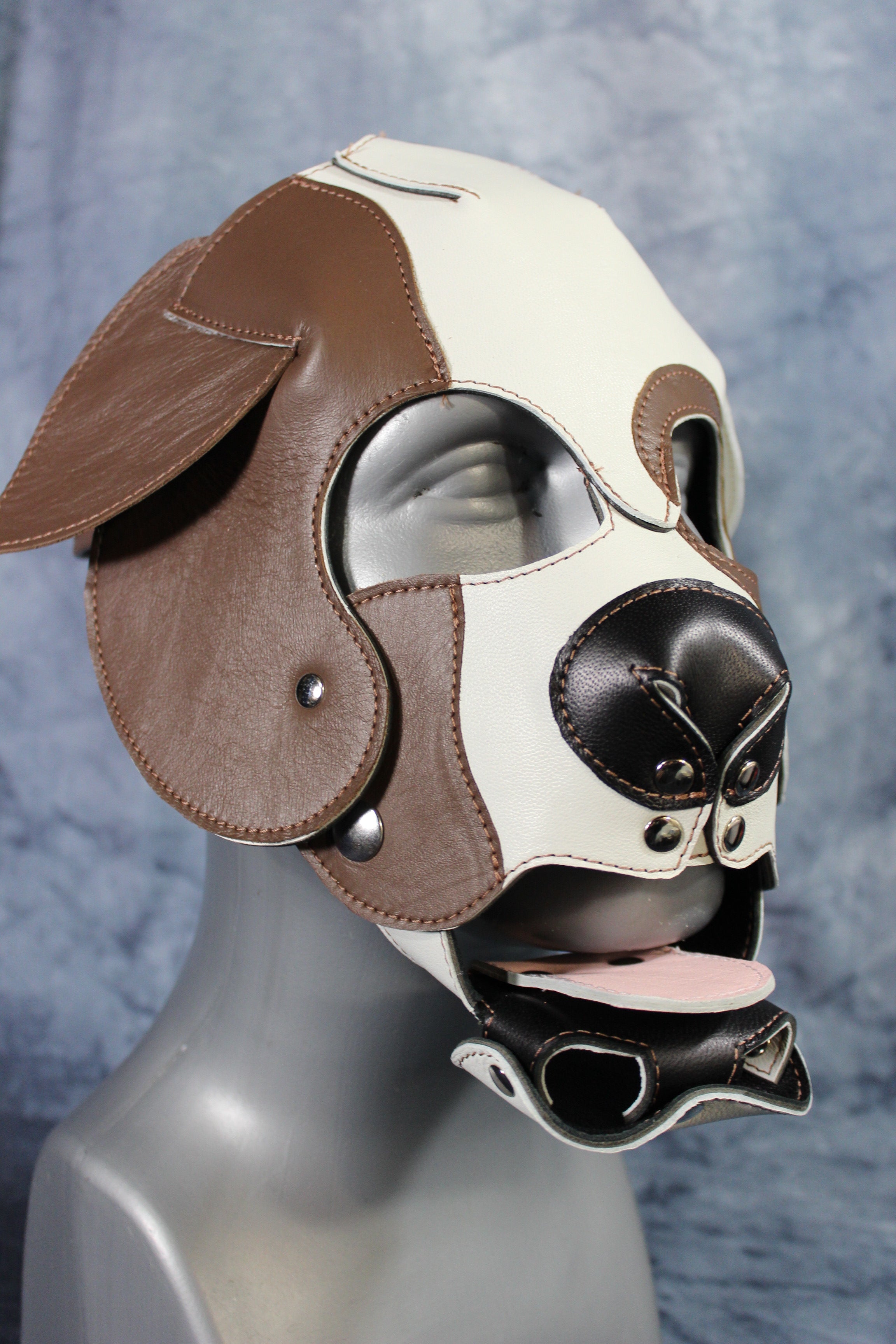 Bulldog Puppy Hood