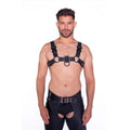 Prowler RED Bull Harness Blk w/Metal S
