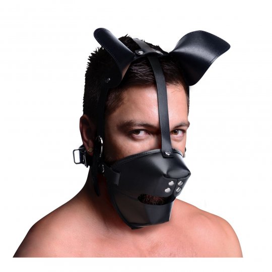Master Series Pup Puppy Play Hood and Breathable Ball Gag