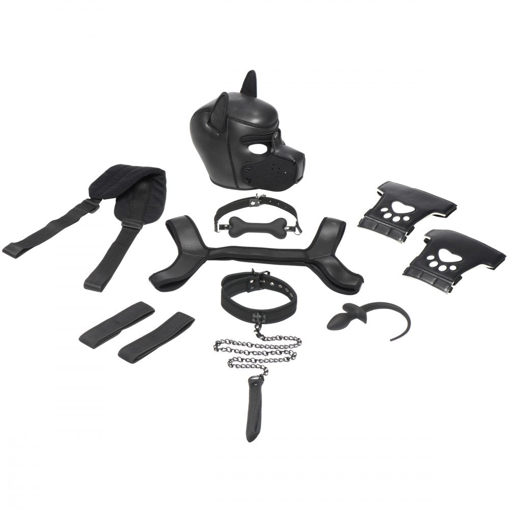Master Series Deluxe Pup Arsenal Set