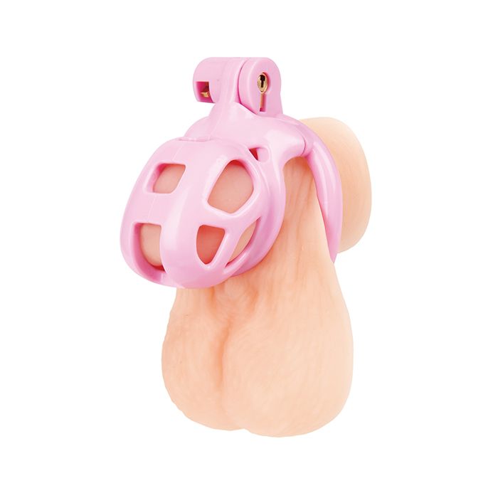 Blue Line Small Pink Humiliation Prisoner Cock Cage
