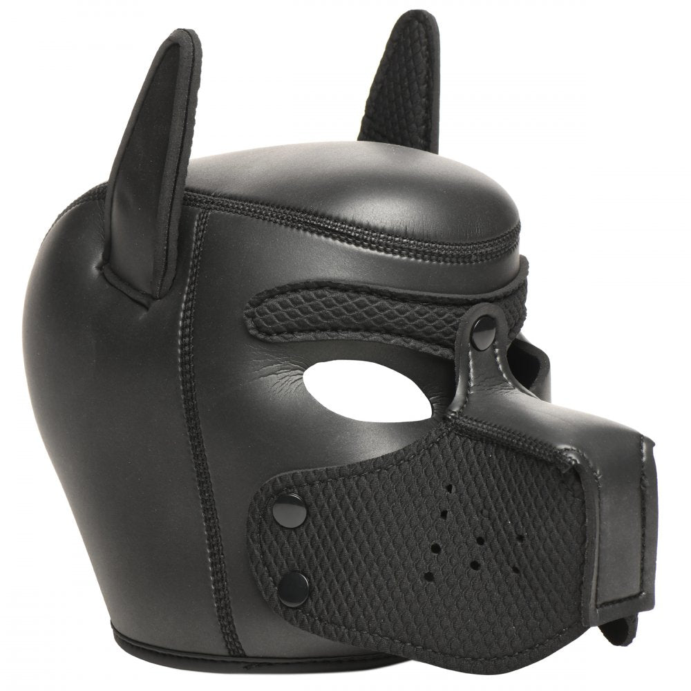Master Series Deluxe Pup Arsenal Set