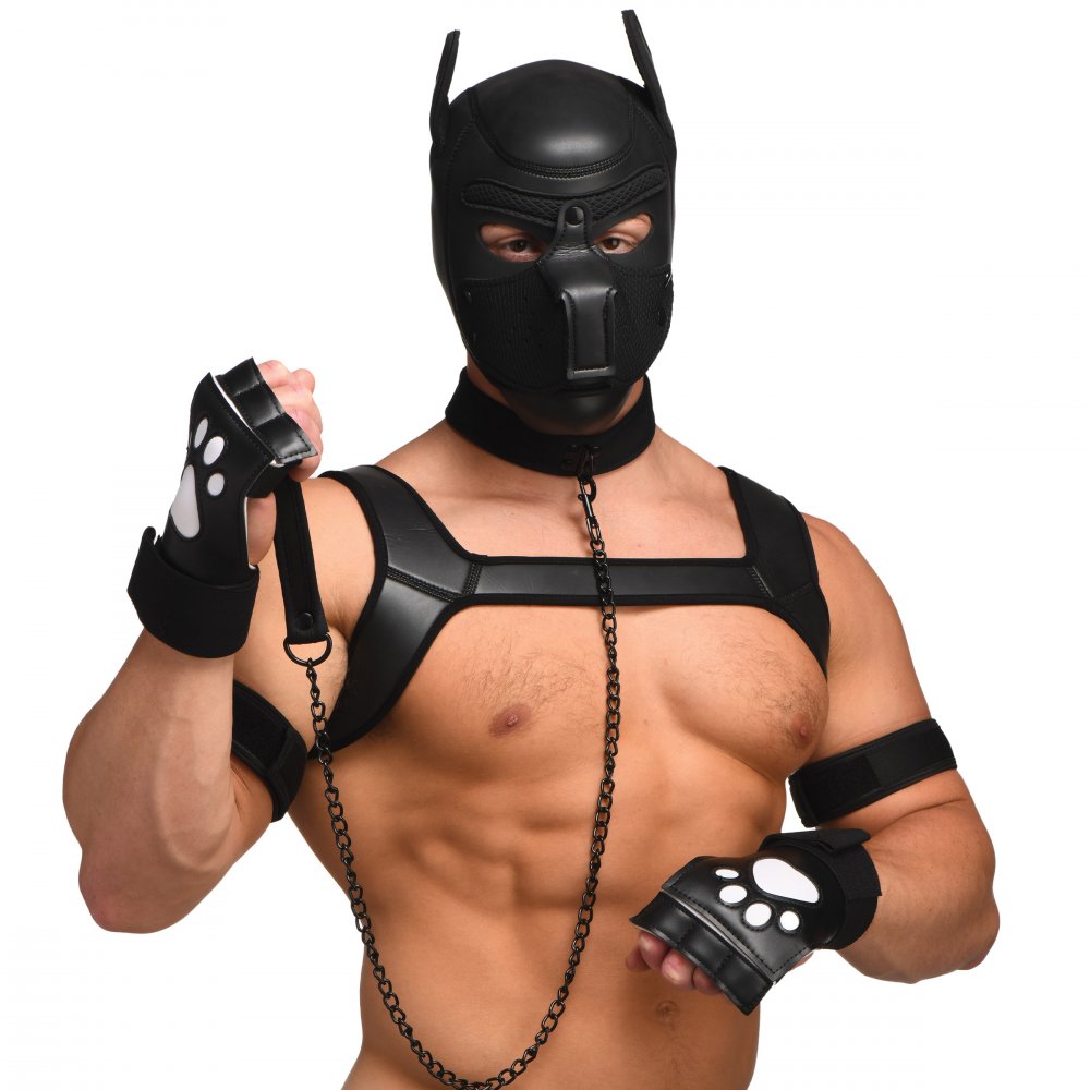 Master Series Deluxe Pup Arsenal Set