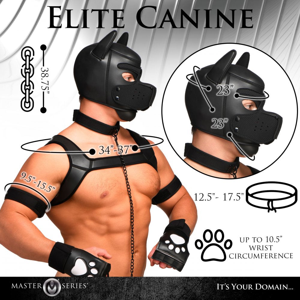 Master Series Deluxe Pup Arsenal Set