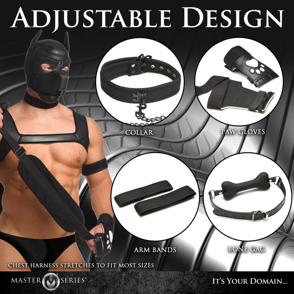 Master Series Deluxe Pup Arsenal Set