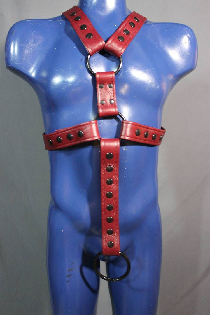 Classic Extended X Harness with Cockring Strap