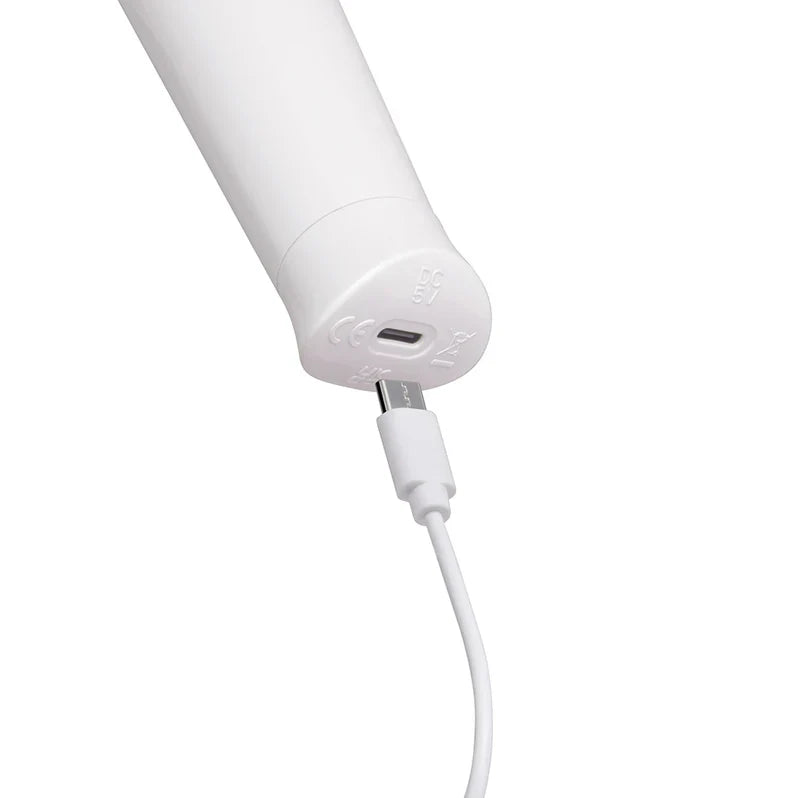 Le Wand Classique Petite Wand Vibrator