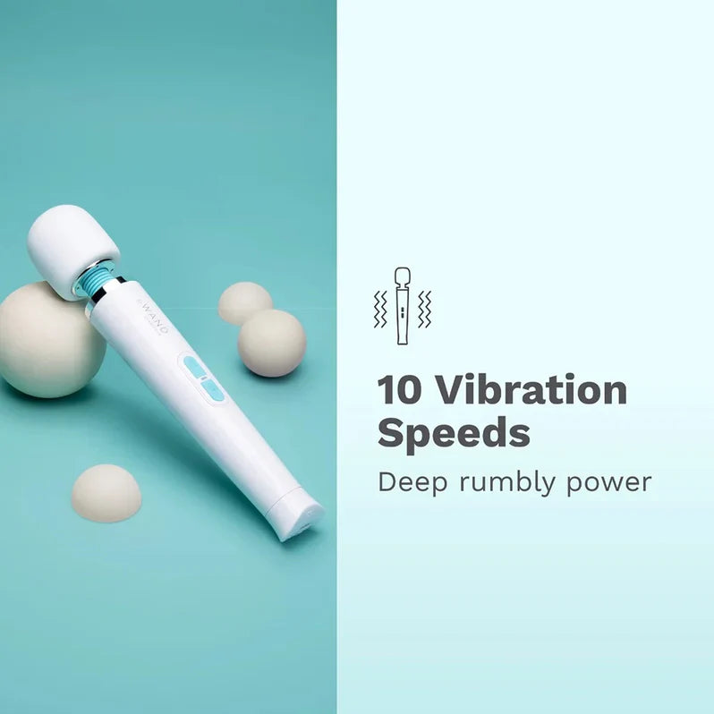 Le Wand Classique Petite Wand Vibrator