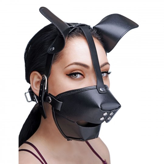 Master Series Pup Puppy Play Hood and Breathable Ball Gag