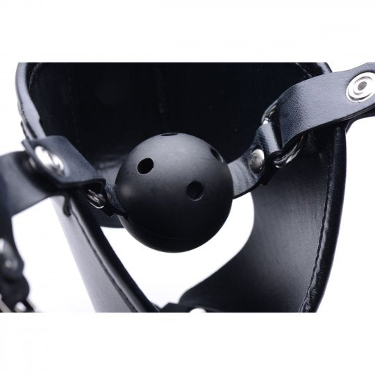 Master Series Pup Puppy Play Hood and Breathable Ball Gag