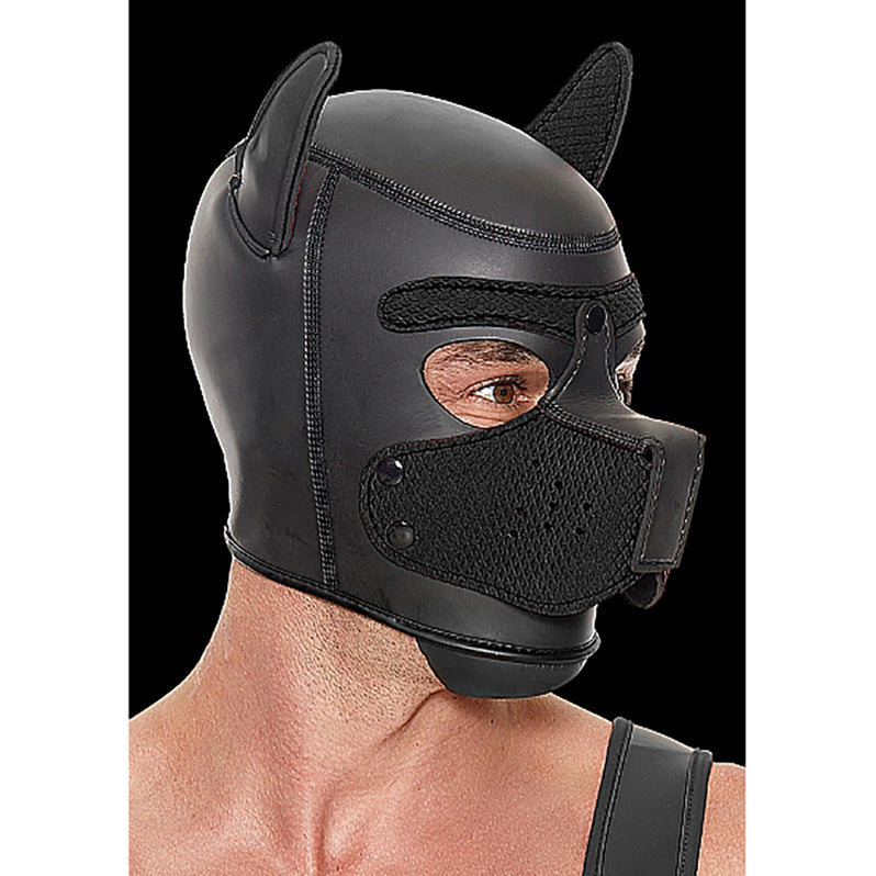 Ouch! Puppy Play Puppy Hood